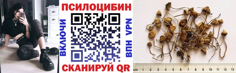 где продают наркотики  Моздок  Галлюциногенные грибы Magic Shrooms 